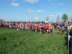 mk sport-中国篮球青少年篮球发展与体育政策关系研究，中国青少年篮球发展现状