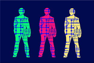 体育mk-高校体育专业人才培养质量保障体系，体育人才培养方案心得体会